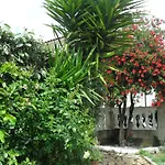 Veronique Alojamento de Acomodação e Pequeno-almoço 3*