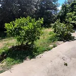 Veronique Alojamento de Acomodação e Pequeno-almoço Appietto