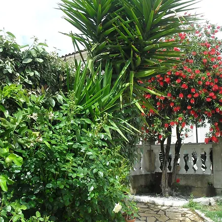 Veronique Nocleg ze śniadaniem 3*