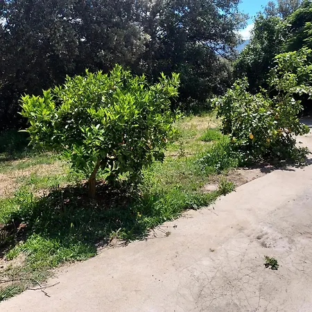 Veronique Nocleg ze śniadaniem Appietto