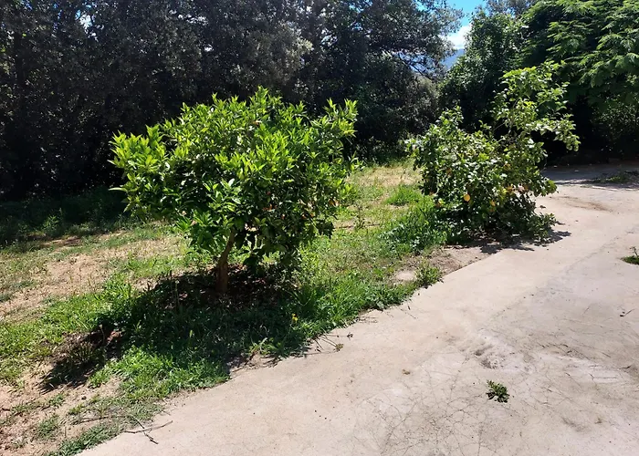 Veronique Alojamento de Acomodação e Pequeno-almoço Appietto